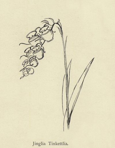 Jinglia Tinkettlia by Edward Lear